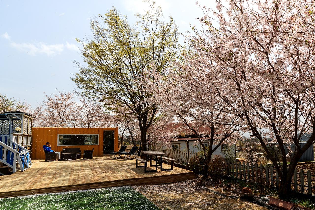 Polaris Tourist Pension Gyeongju Bagian luar foto